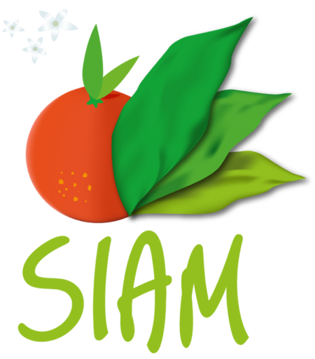 new-logo-SIAM new-logo-SIAM